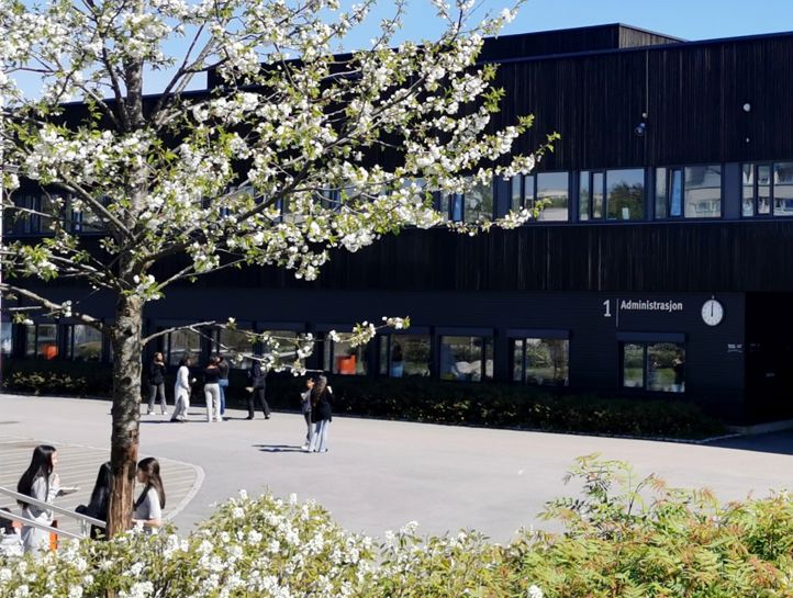 en gruppe mennesker som går utenfor en bygning