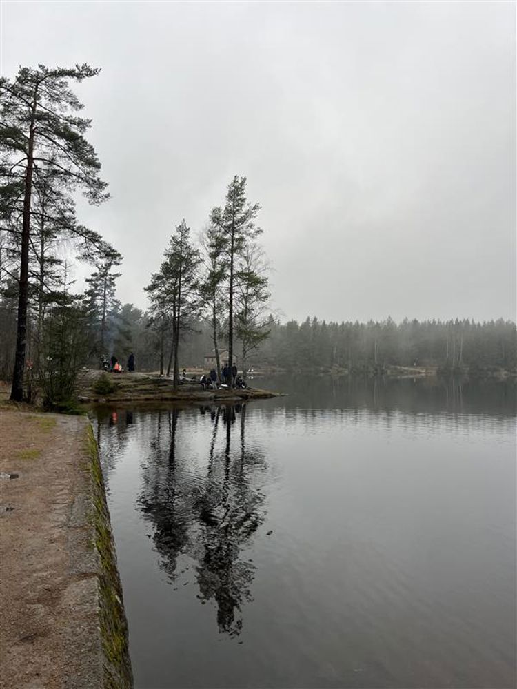 en vannmasse med trær og en sti ved den