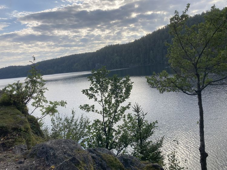 en innsjø med trær og fjell i bakgrunnen