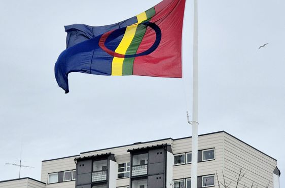 et flagg som vaier i luften