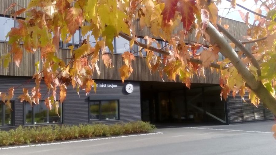 Høstbilde Granstangen skole