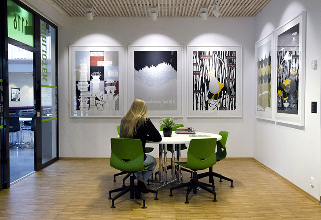 Hovedbilde Hovedbilde