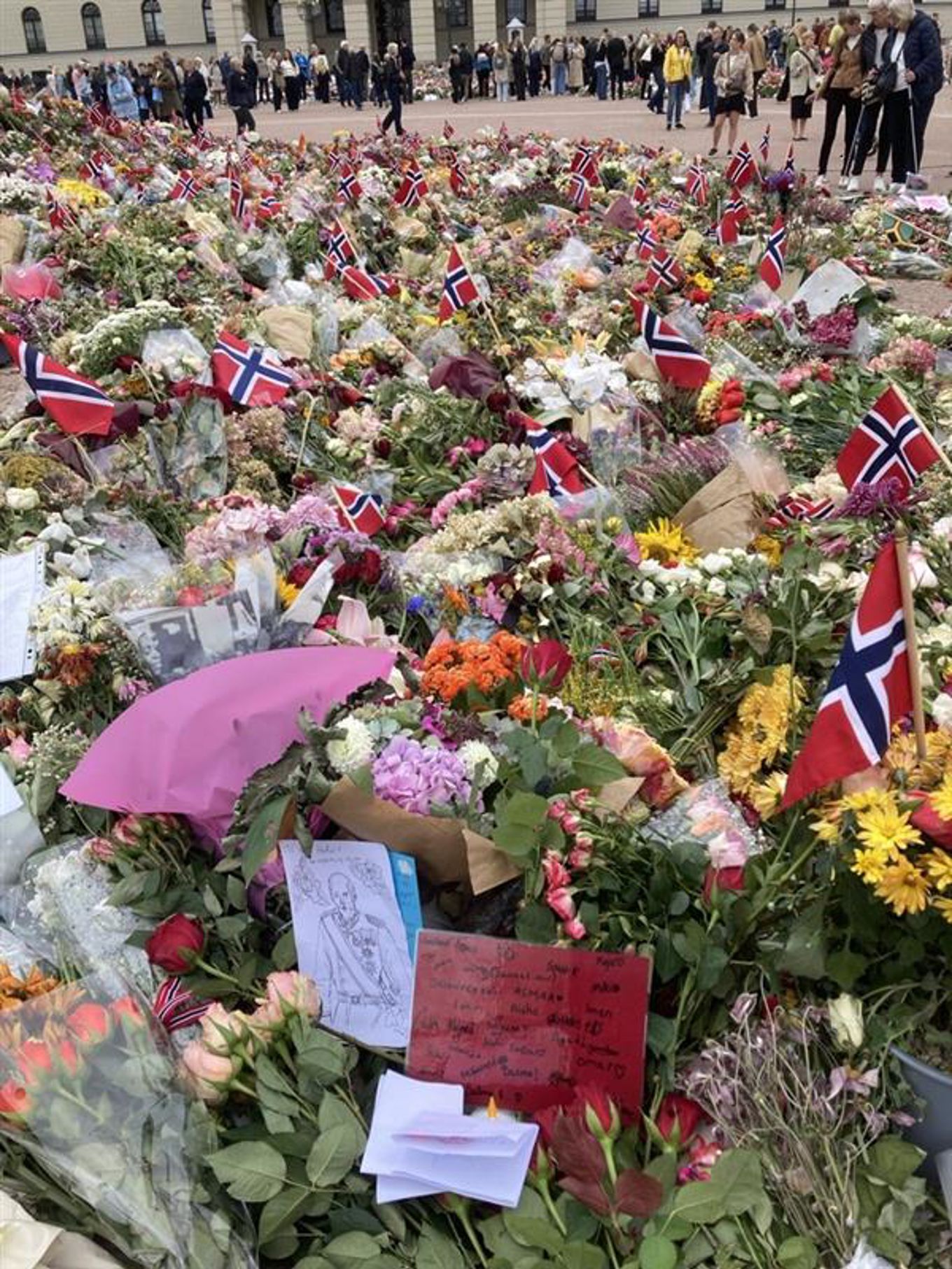 En stor gruppe mennesker som går rundt en stor gruppe blomster En stor gruppe mennesker som går rundt en stor gruppe blomster