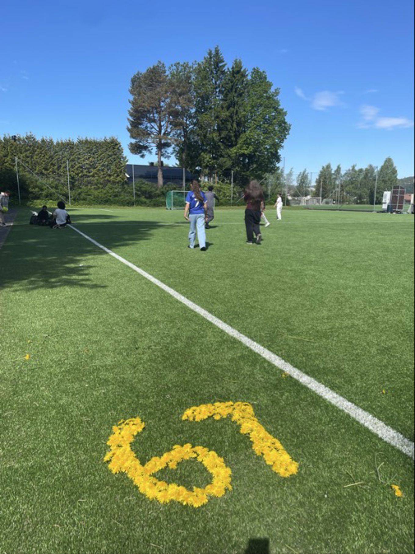En gruppe mennesker på et jorde